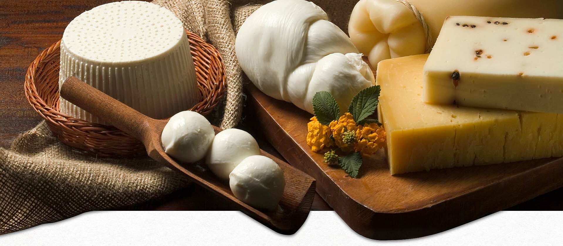 Verschiedene Käsesorten auf einem Holztisch